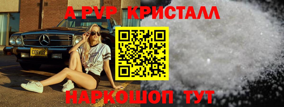 Alpha PVP СК КРИС Губкинский