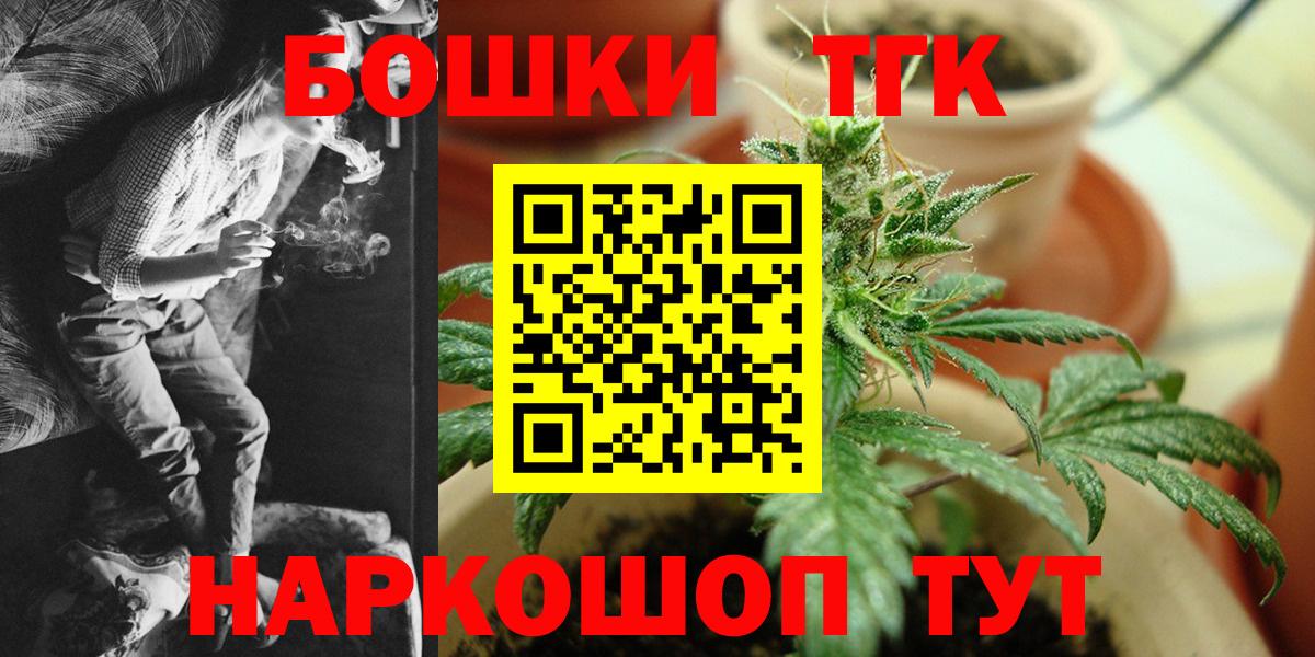 Конопля сатива Губкинский